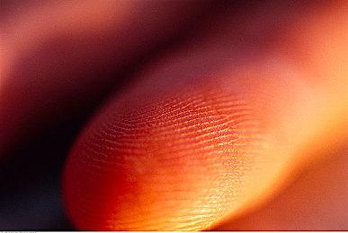 《帝国时代4》冬季更新提前至下周 包含100多项更改及修复